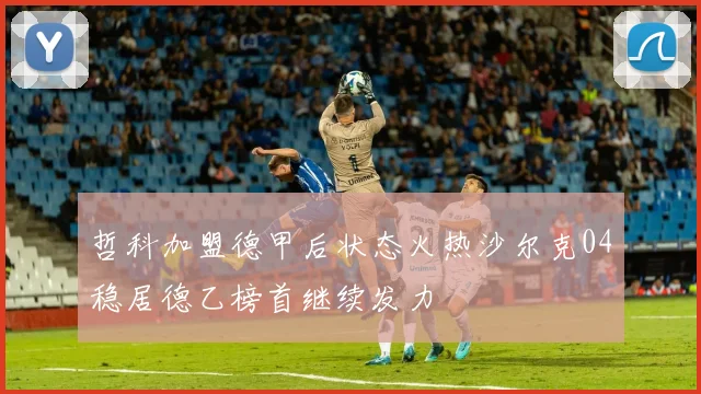 哲科加盟德甲后状态火热沙尔克04稳居德乙榜首继续发力