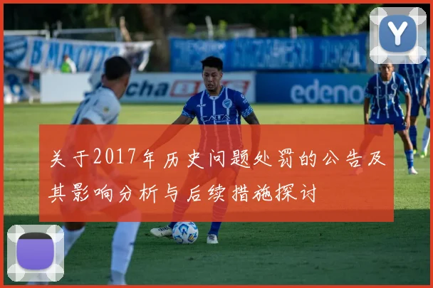 关于2017年历史问题处罚的公告及其影响分析与后续措施探讨
