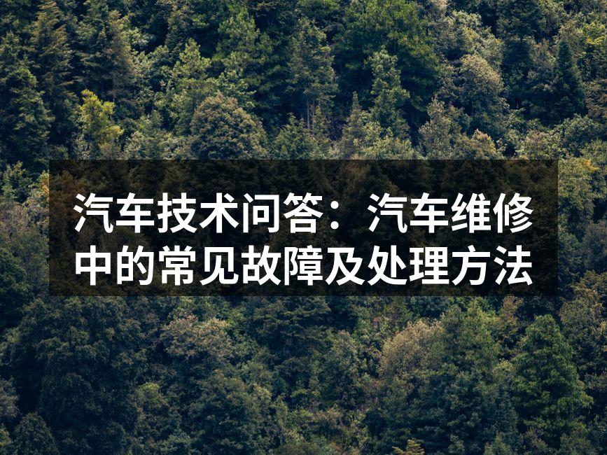 汽车发动机故障示意图