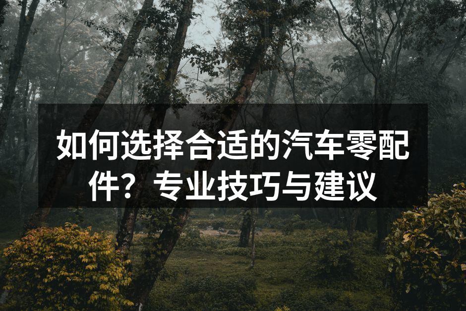 汽车零配件种类繁多