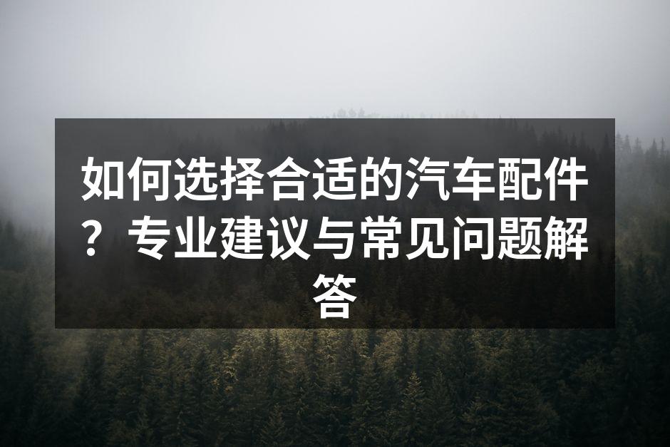 专业汽车配件展示